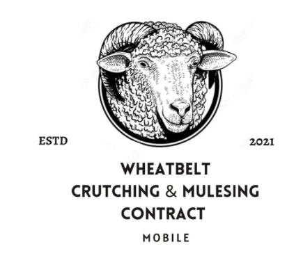 Wheatbelt Crutching and Mulesing
