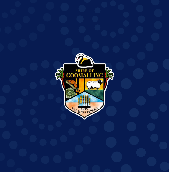 Public Notice 2025 Local Government Election Results