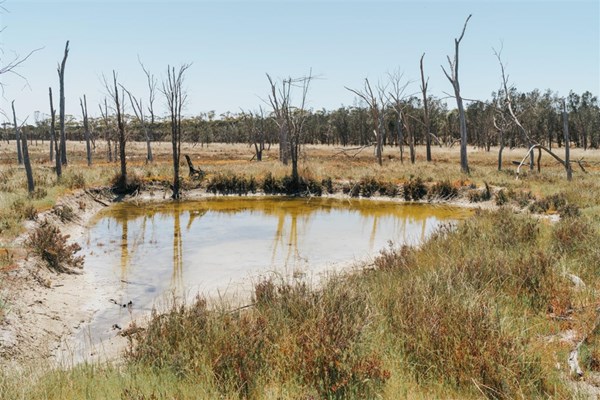Goomalling Pool Scenery » Shire of Goomalling