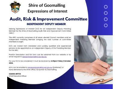 EOI - Audit Risk and Improvement Committee Independent Deputy Member
