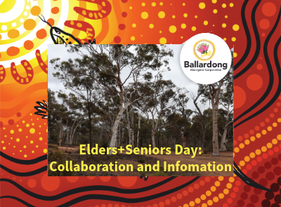 Elders Seniors Day - Collaboration and Information