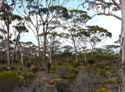Landholders urgently needed
